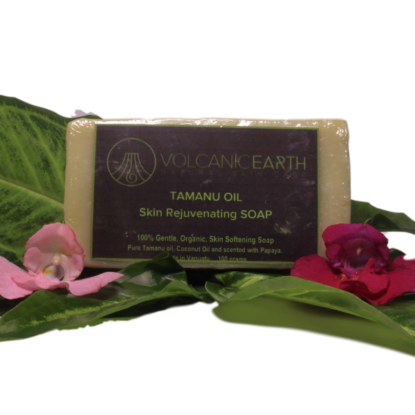 "Volcanic Earth Tamanu Oil Soap (Large) "