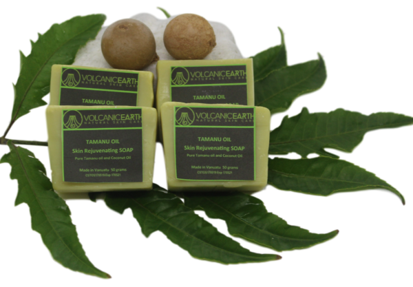 Tamanu Soap  (small) - Pack of 4 soaps